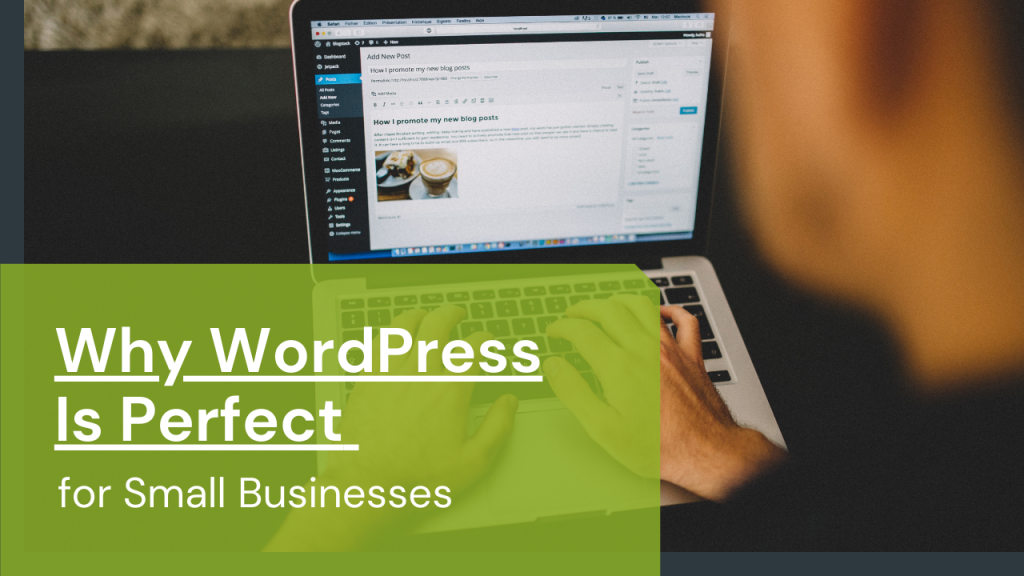 Why Wordpress Is Perfect For Small Businesses Why WordPress Is Perfect for Small Businesses