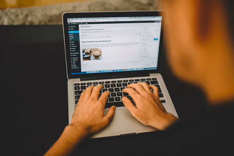 The Importance of WordPress Updates 2 The Importance of WordPress Updates