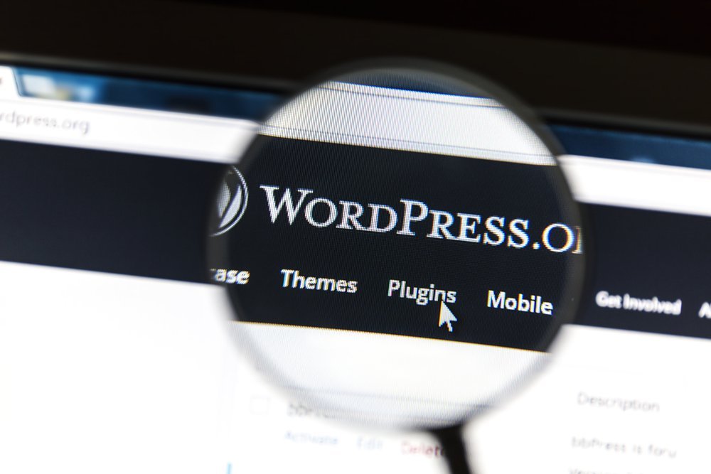 8 Tips for Managing WordPress Sites Efficiently 3 https://forgeandsmith.com/blog/best-wordpress-seo-plugins/