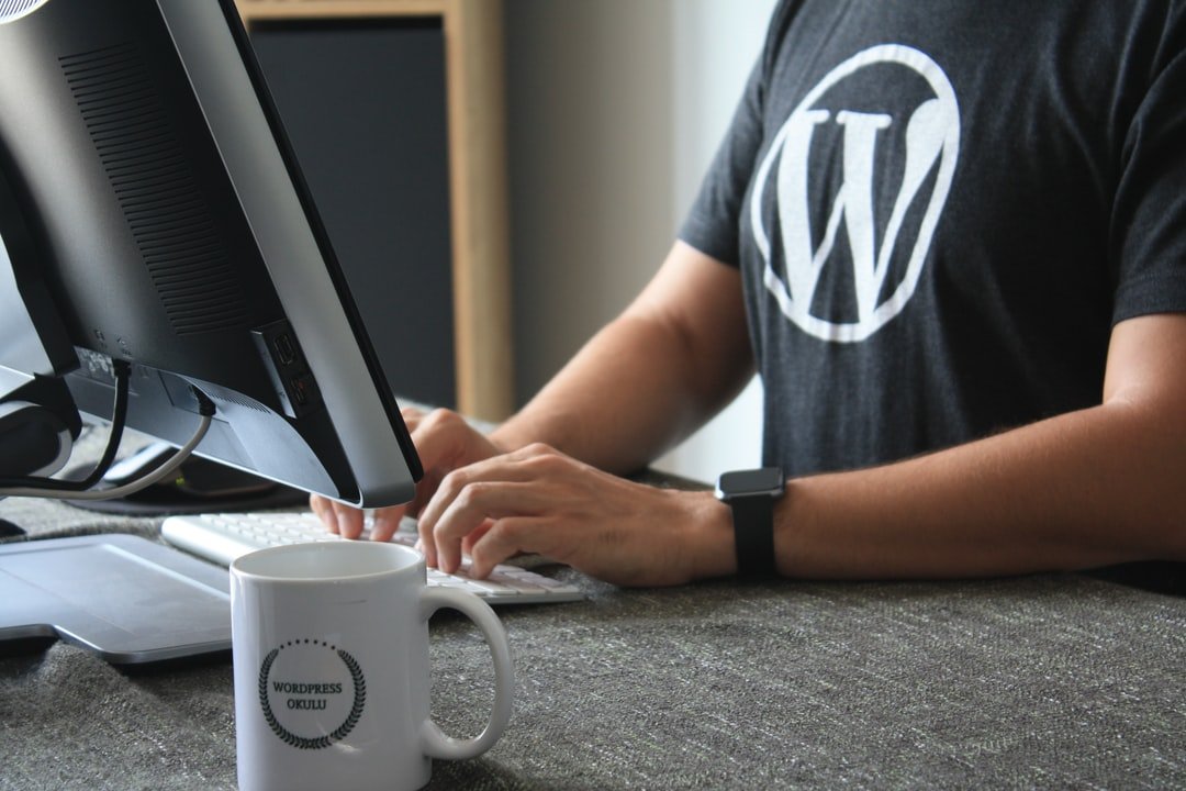 Wordpress CMS - How To Use it For Your Business