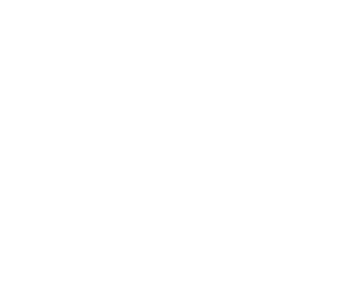 Wordpress Maintenance
