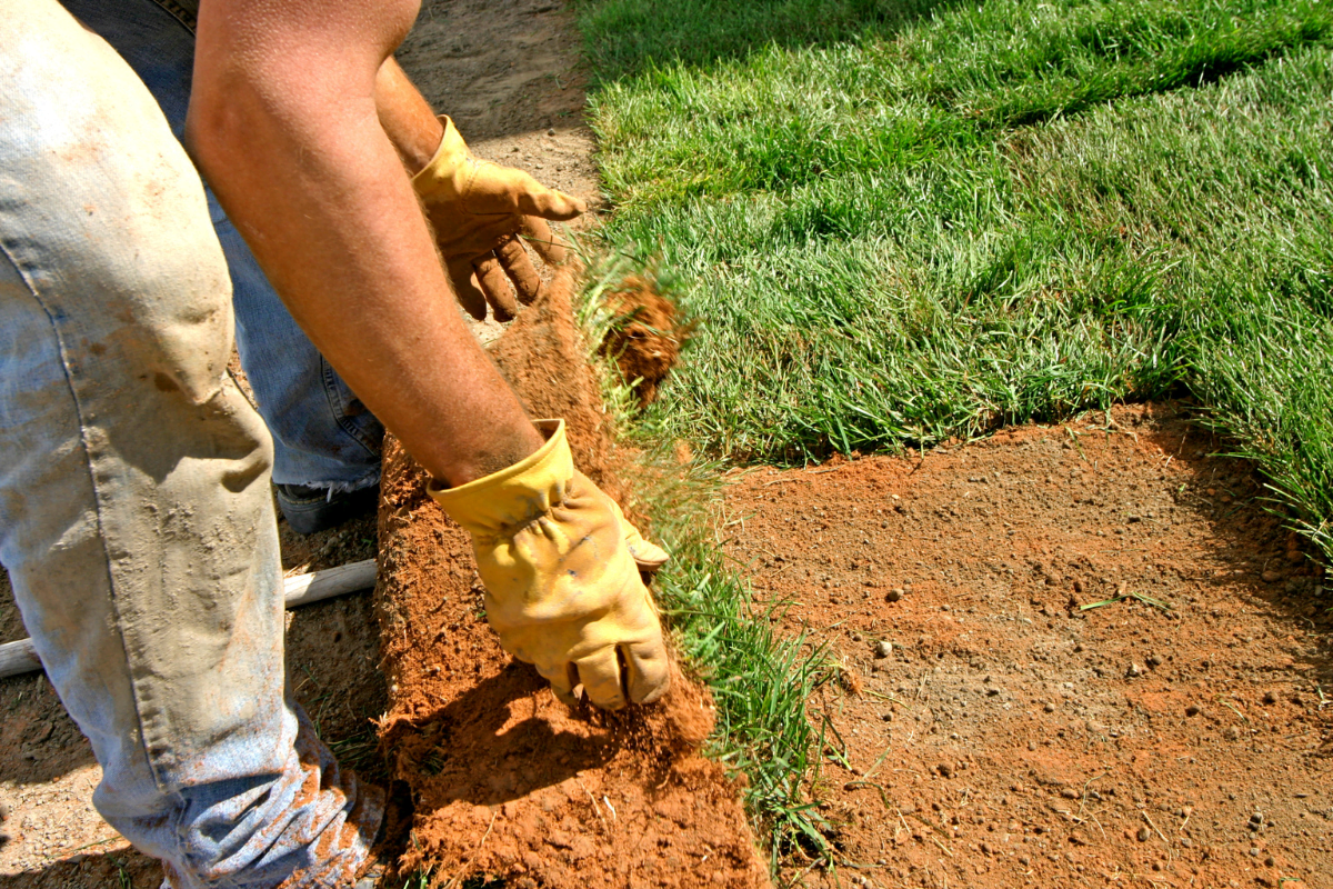 A man working on a lawn, wearing a pair of gloves.