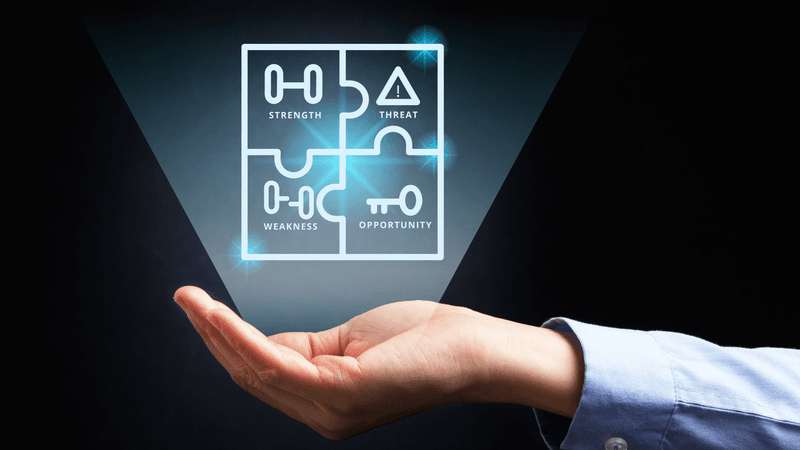 The SWOT Analysis: A Guide to Using It in Your Business 2 SWOT Analysis - Newman Web Solutions - Atlanta GA