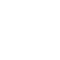 Content Writing Services