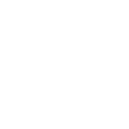 Social Media Advertising