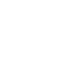 Technical SEO Services