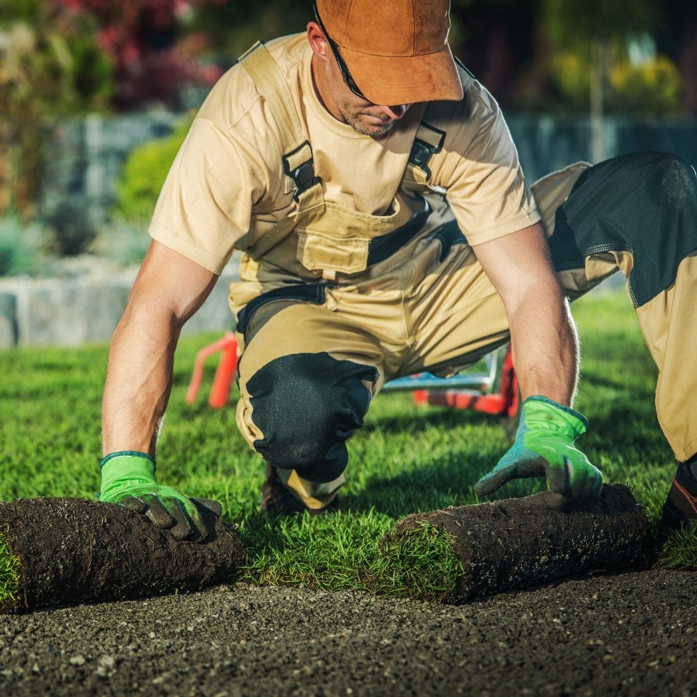 A man is laying down grass in a garden, promoting a landscape marketing agency.