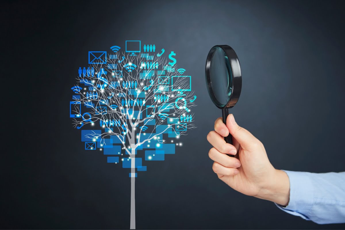 Shadow Banning on Social Media 9 A hand is holding a magnifying glass and examining a tree.