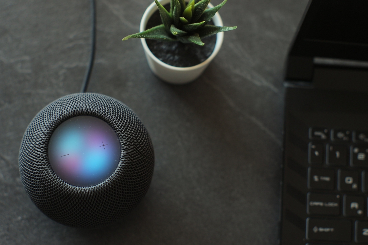 How Does Voice Search Work? A Beginner’s Guide to Smart Technology 5 A smart speaker with a glowing screen—perfect for exploring how voice search works—sits next to a potted plant and a black laptop on a dark surface.